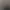 محدثه جنگجو