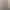 باربارا کریمی